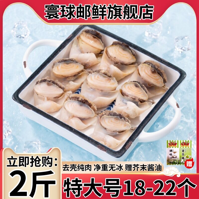 海螺肉鲜活海螺特大去壳海鲜水产现剥去肝内脏纯肉香螺肉冷冻商用