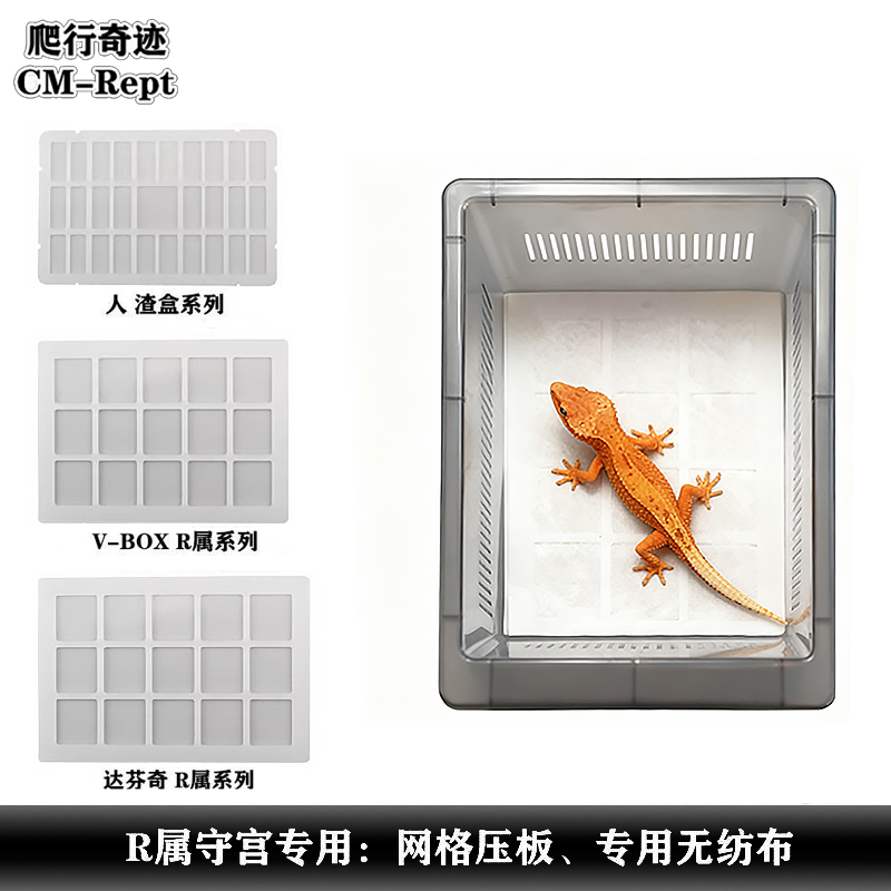 睫角守宫饲养盒网格压板无纺布