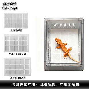 睫角守宫饲养盒网格压板R属守宫垫材无防布巨人盖勾亚守宫垫纸