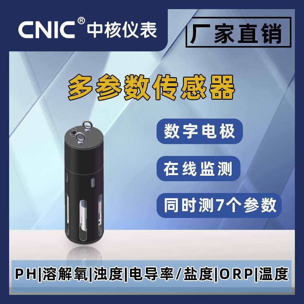 同时测量PH溶解氧电极浊度电导率探头盐度ORP温度的多参数传感器