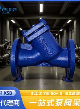 德国KSB Y型过滤器DN32/PN16法兰铸钢过滤器耐高温耐腐蚀原装进口