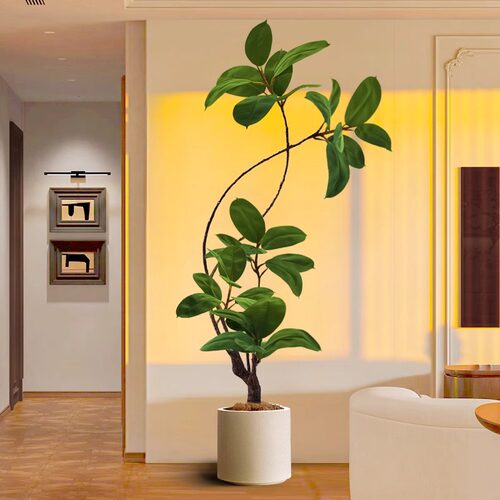 仿真绿植黑金刚橡皮树假植物摆件