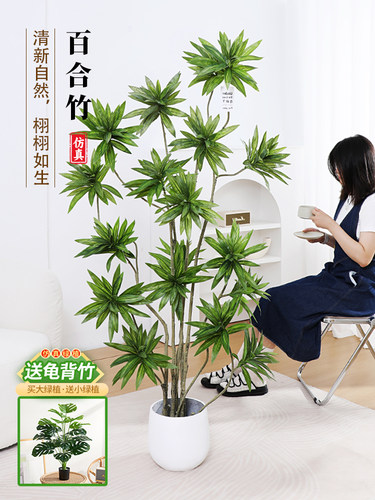 模拟绿色植物百合竹子客厅大盆栽高雅易接近豪华景观装饰落地假绿