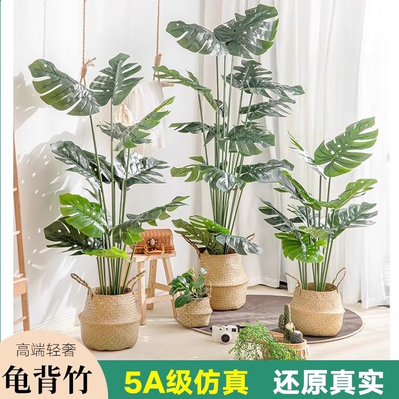 龟背竹仿真绿植假植物高端轻奢图片