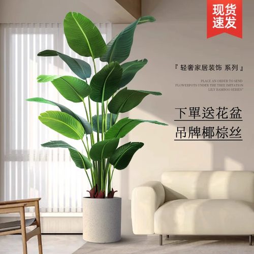 旅人蕉仿真绿植假植物装饰天堂鸟