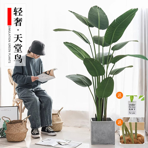 仿真绿植假植物旅人蕉高端轻奢