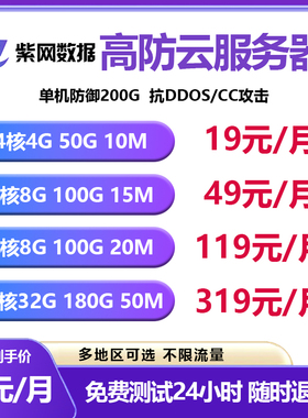 云服务器租赁远程高防 vps服务器租用虚拟电脑出租传奇主机物理机