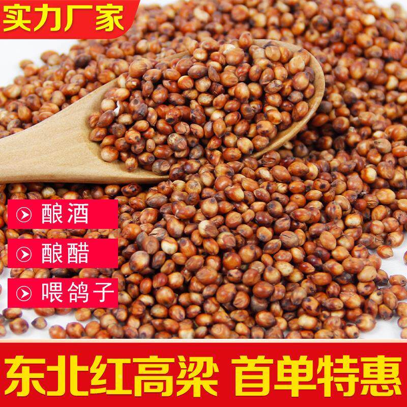 小麦新红高粱20斤带皮高粱10kg酿酒喂鸽子鸽粮食酿醋去壳5斤鸡鸭