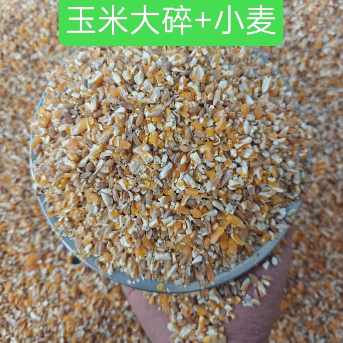 玉米大碎+小麦营养搭配混
