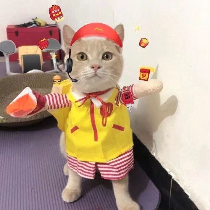 宠物猫咪狗狗衣服搞笑搞
