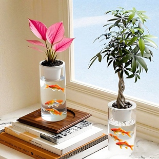 水培器皿定植蓝花盆定植篮蝴蝶兰固定器水培植物固根器玻璃定植篮