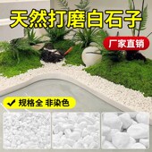 40斤装 白色石子石头大鹅卵石造景景观白石子庭院铺路铺地小白石头