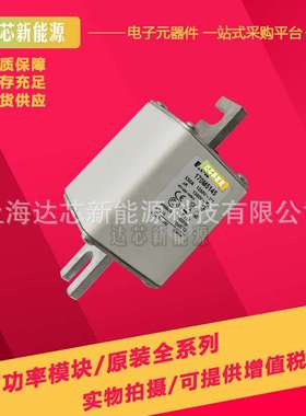 170M5258 170M5259 170M5260 170M5261 170M5262 170M5263熔断器