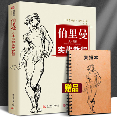 【赠速写本】伯里曼人体结构绘画教学 伯里曼人体绘画从入门到精通速写人体画手绘画教程描摹新手基础练习素描书入门教材绘画重点
