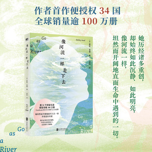 像河流一样走下去 谢莉里德 外国小说 感动世界读者 自你当像鸟飞往你的山之后 另一部坚韧有力诗意悠长的女性之歌 磨铁图书正版