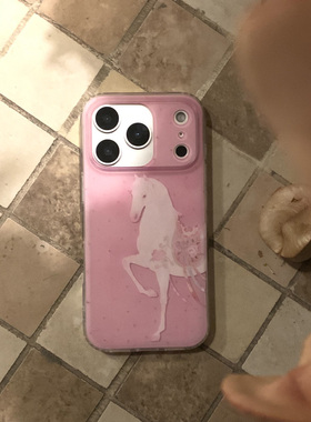 叶菽原创定制《马意》新中式国风清冷小众高级感IMD双层适用苹果17/14/15/16promax磨砂亮面iPhone秋冬手机壳