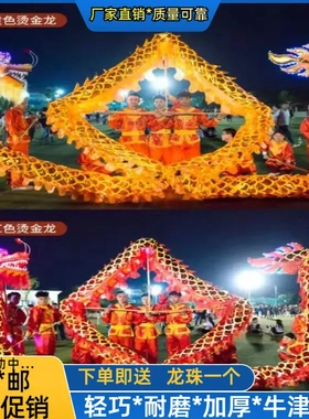 灯光舞龙舞狮夜光龙绸缎布龙舞台