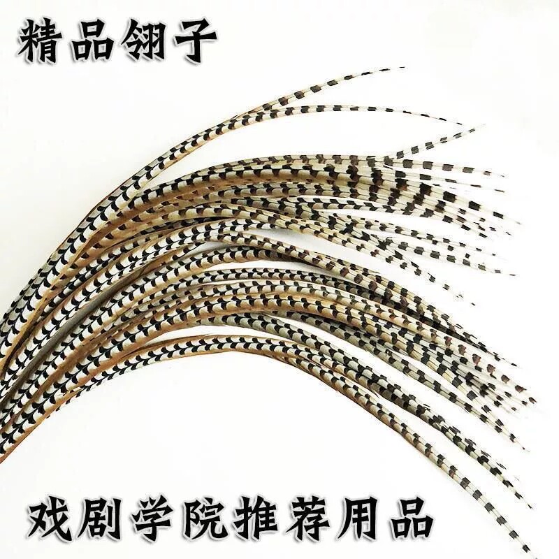 戏曲舞蹈翎子俏花旦孙悟