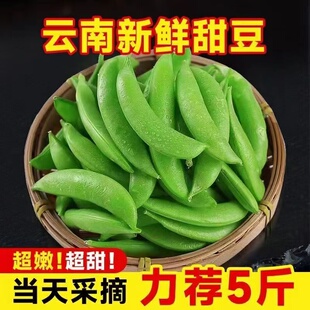 【现摘】云南新鲜甜豆农家自家种植脆甜新鲜嫩碗豆带壳食用绿色