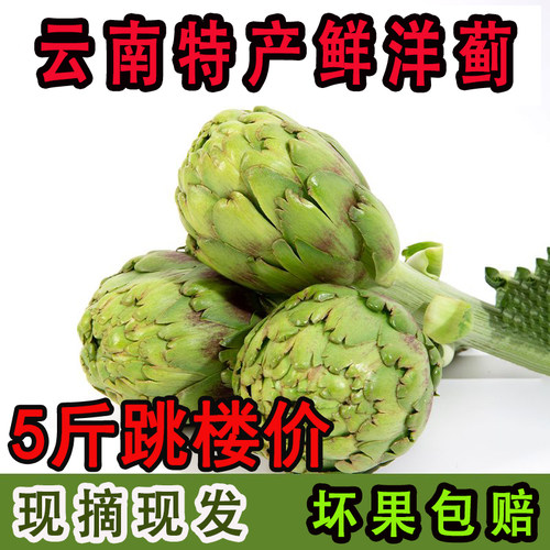 云南特产蔬菜朝鲜蓟5斤现摘现发