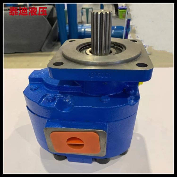 P7600-F100N067 6G齿轮泵 泊姆克压路机震动泵 00夯机齿轮泵外贸