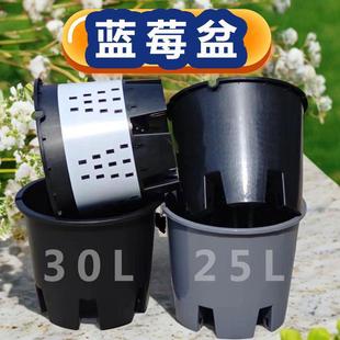 蓝莓盆塑料花盆30L25L侧排孔控根盆绿植花卉大号透气圆形花盆