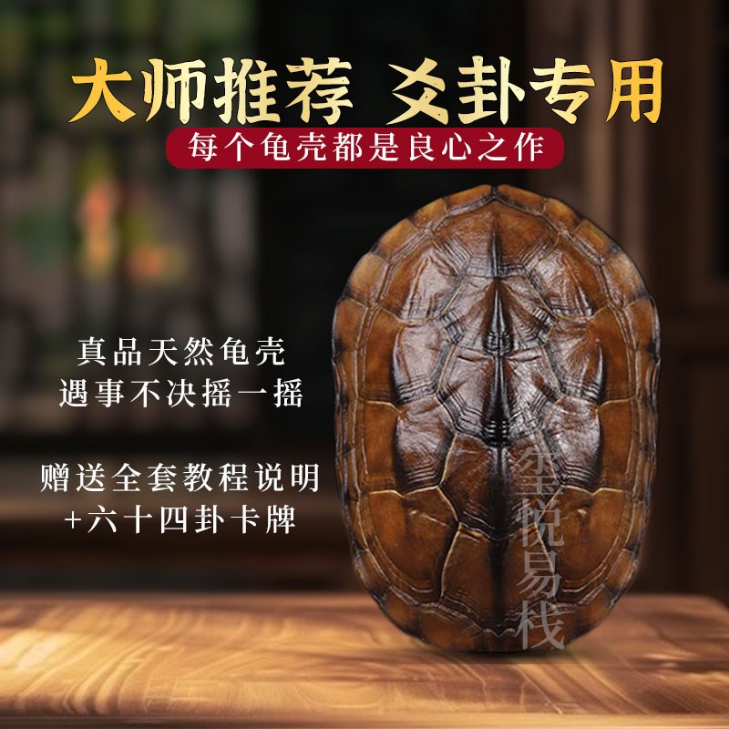 周易卦卜铜钱龟壳爻六铜钱工具真龟甲六爻铜钱摇卦算挂用品64卦牌