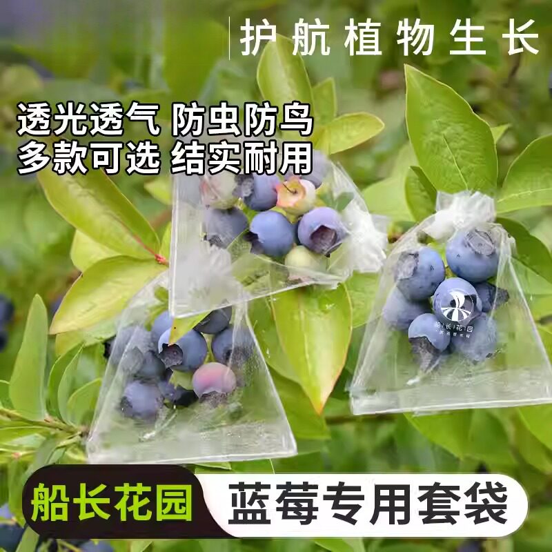 蓝莓套袋专用袋防虫防鸟透气袋水果蔬菜苦瓜番茄草莓桃子通用网袋