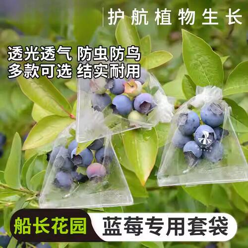 蓝莓套袋专用袋防虫防鸟透气袋水果蔬菜苦瓜番茄草莓桃子通用网袋