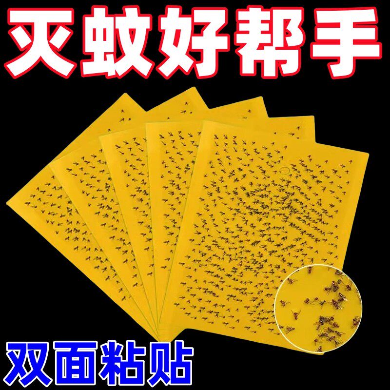 双面粘虫板大棚菜地防虫