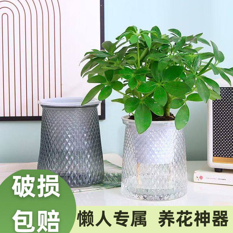 绿萝多肉自吸水懒人桌面花盆