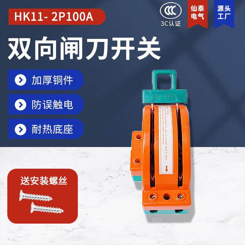 销售家用2P100a双投闸刀厂家供应RPSHK11厂用双向双刀刀闸开关