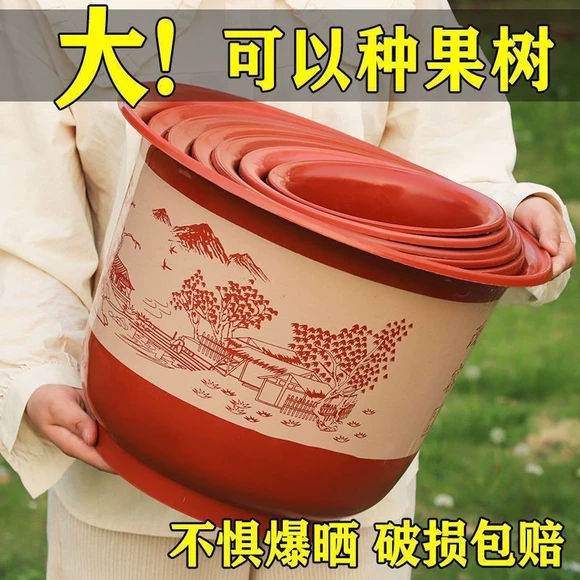 花盆仿陶瓷树脂塑料果树盆特大号盆栽绿植果树黄金葛月季牡丹花盆