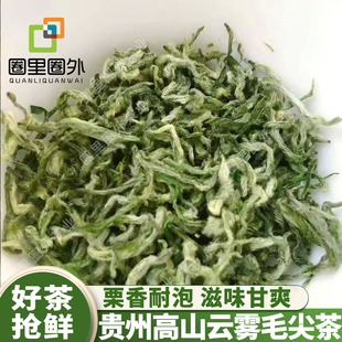 【2026春茶预售】贵州特产明前毛尖绿茶新茶叶浓香高山云雾茶春茶