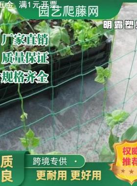 绿色园艺爬藤网爬藤支架网百合花菊花爬藤搭架网攀爬家用网格子网
