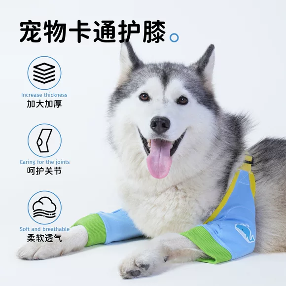 狗狗护肘衣前腿关节保护套宠物边牧金毛大型犬护膝衣四季通用衣服