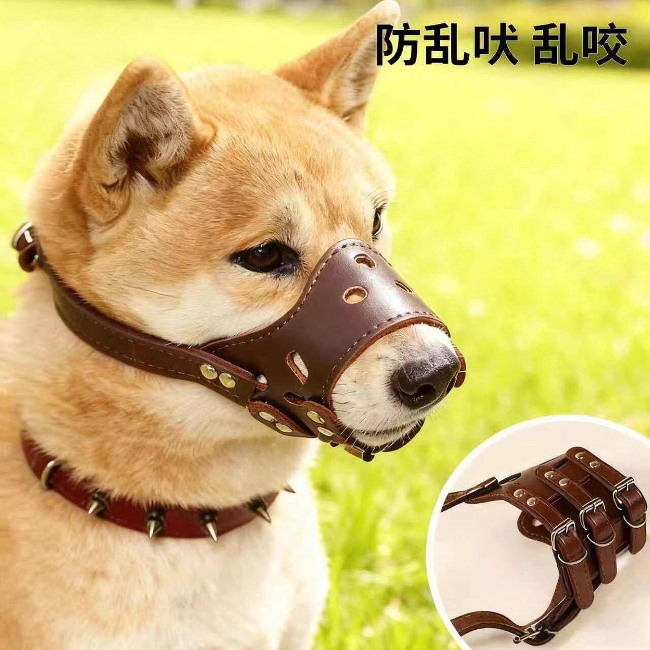 狗狗嘴套防咬防叫防乱吃中大型犬金毛小型犬柴犬可喝水口罩止吠器
