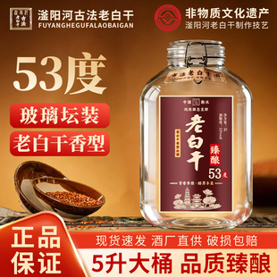 滏阳河古法老白干53度老白干香型纯粮食酒泡酒高度白酒坛装5L散酒