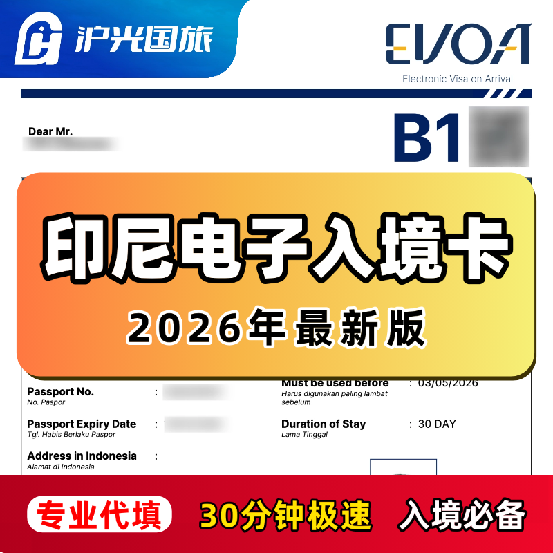 印尼电子入境卡30分钟代填印度尼西亚雅加达泗水巴厘岛入境卡E-CD