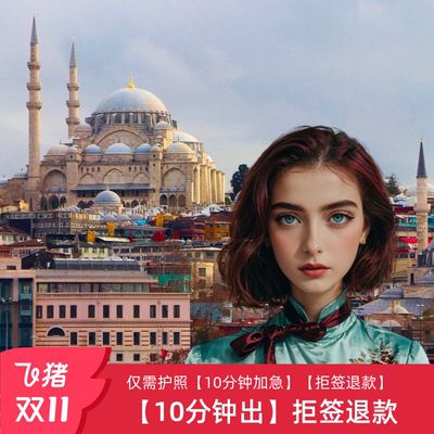 土耳其旅游签证移民局网站