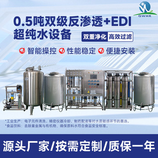大型双级ro反渗透0.5吨每小时EDI系统水处理工业去离子净水器设备