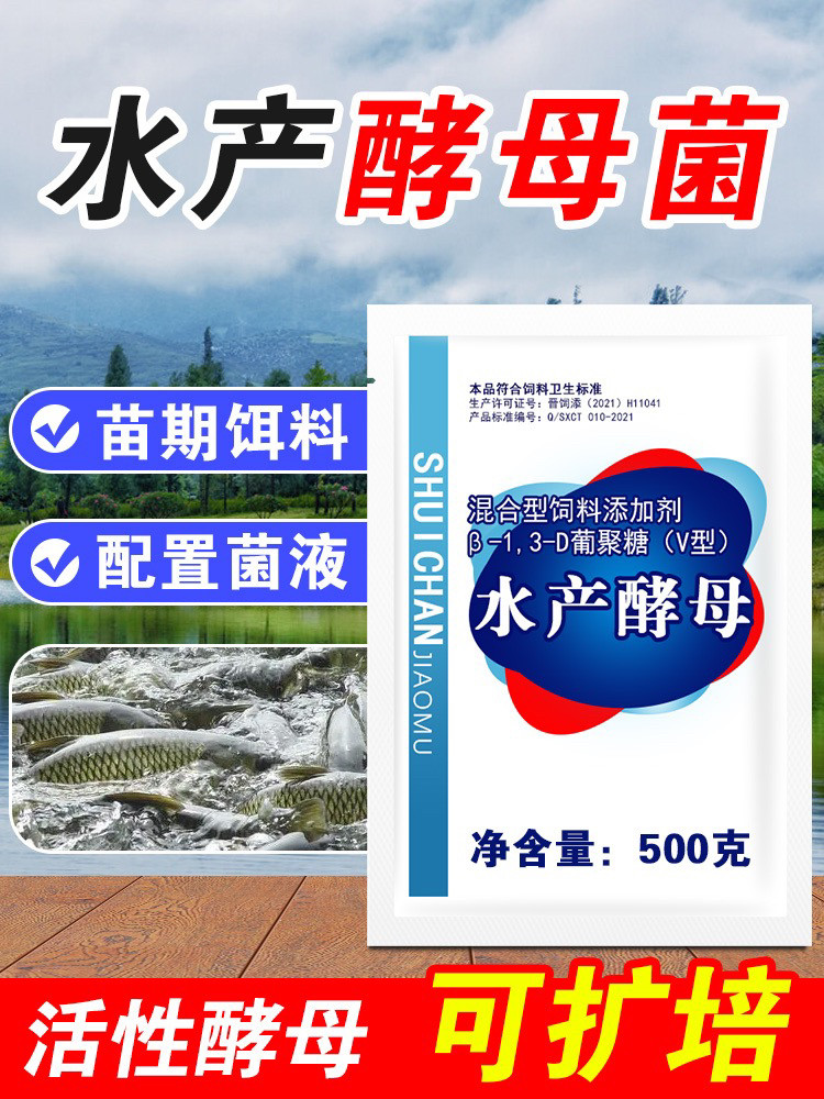 酵母菌水产养殖发酵菌液轮虫培育鱼虾蟹育苗期开口饵料海洋红酵母