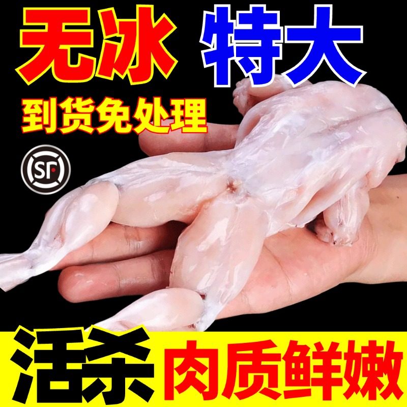 牛蛙超大特大鲜活新鲜冷冻田鸡青蛙蛤蟆杀好后蛙块商用火锅食材