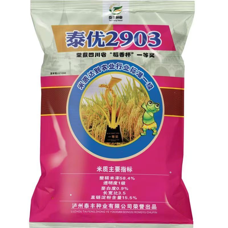 原装正品高产杂交水稻种子泰优2903优质稻谷种中稻一级香米抗旱倒
