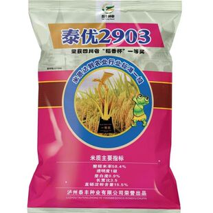 原装正品高产杂交水稻种子泰优2903优质稻谷种中稻一级香米抗旱倒