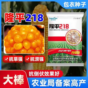 优质玉米种子大全高产大棒隆平218抗病矮杆抗倒春播夏播南北通种