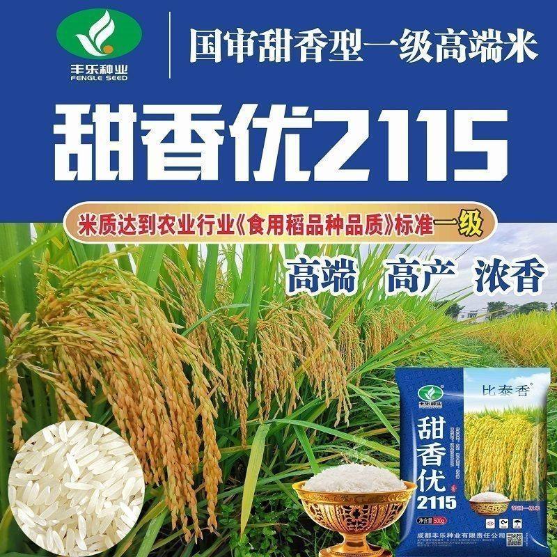 原装正品甜香优2115杂交水稻种子