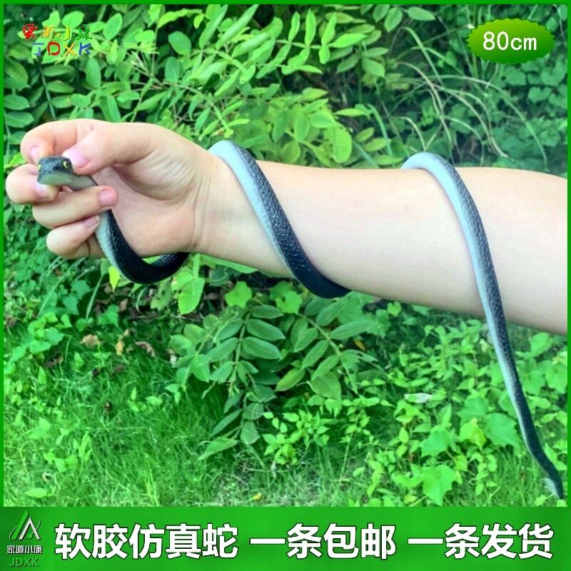 仿真蛇软胶橡胶眼镜蛇包邮