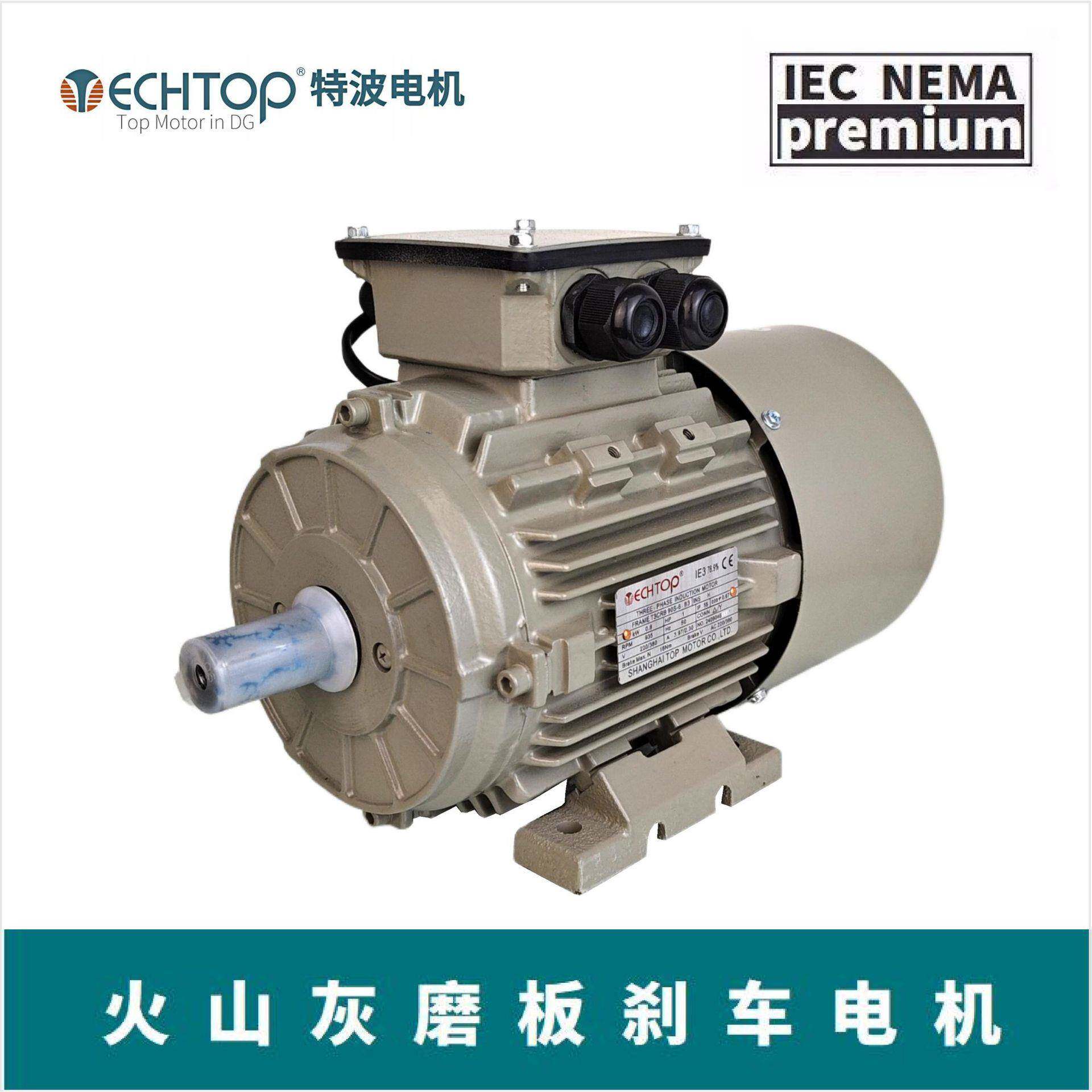 TECHTOP特波线路板磨刷线电机0.8W(1HP)220V/380VIP55/F极