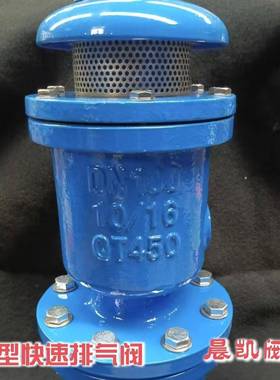 厂家供应铸铁CARX复合式排气阀自动KP快速排气阀DN100空气阀